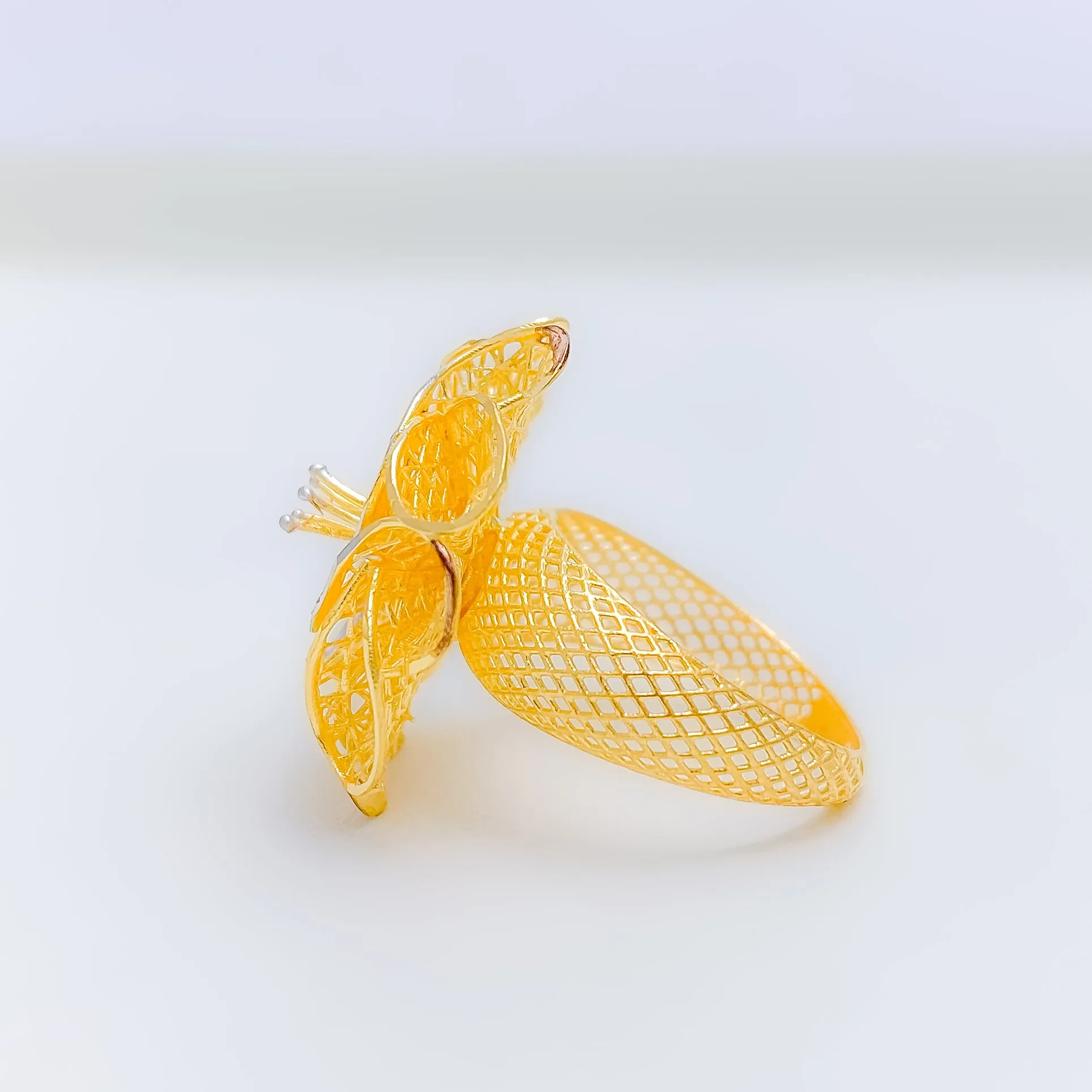 Beautiful Netted Ring