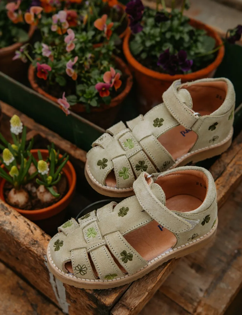 Clover Classic sandal - Pistachio