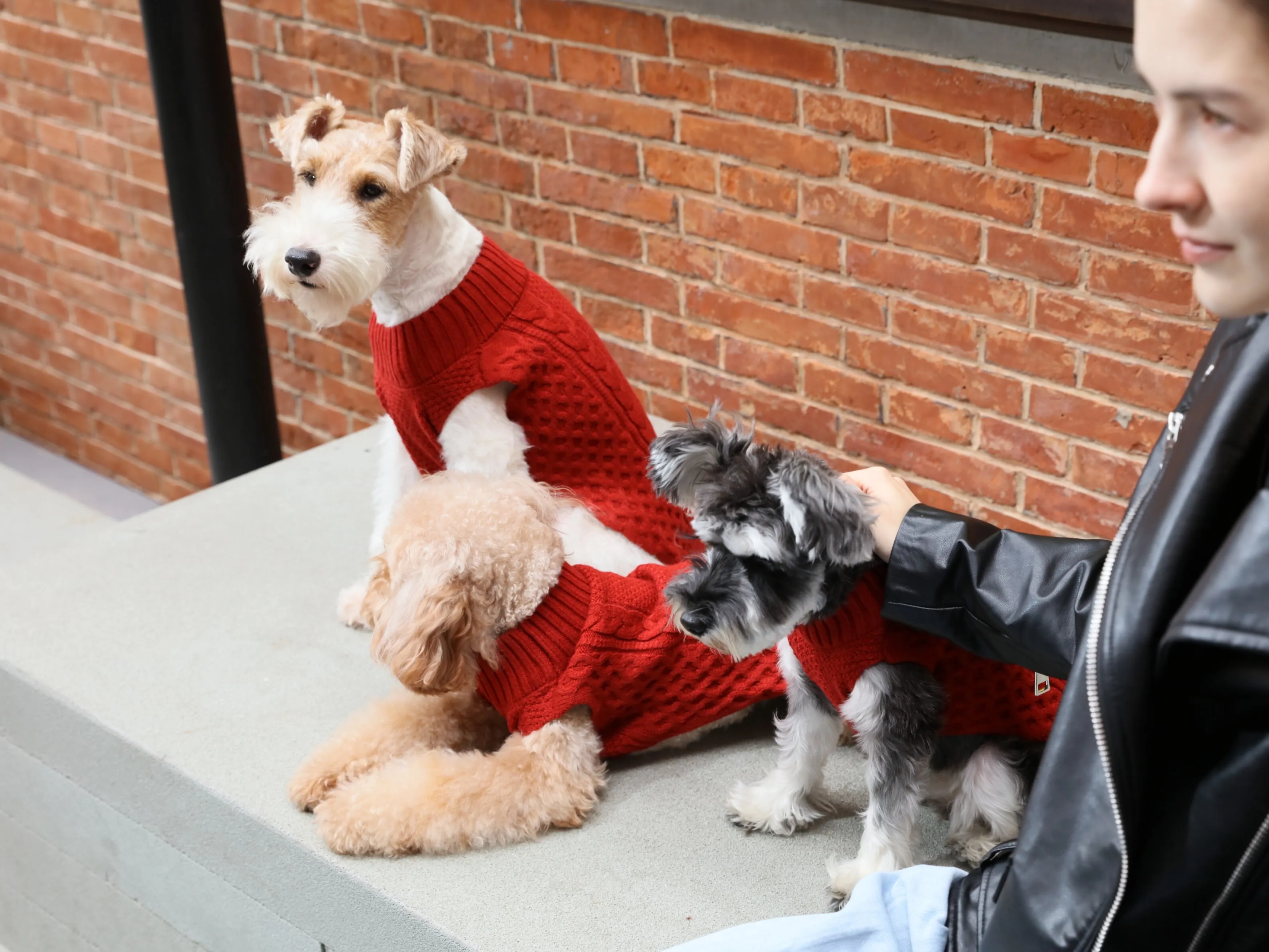 Pet Sweater Vest - Red