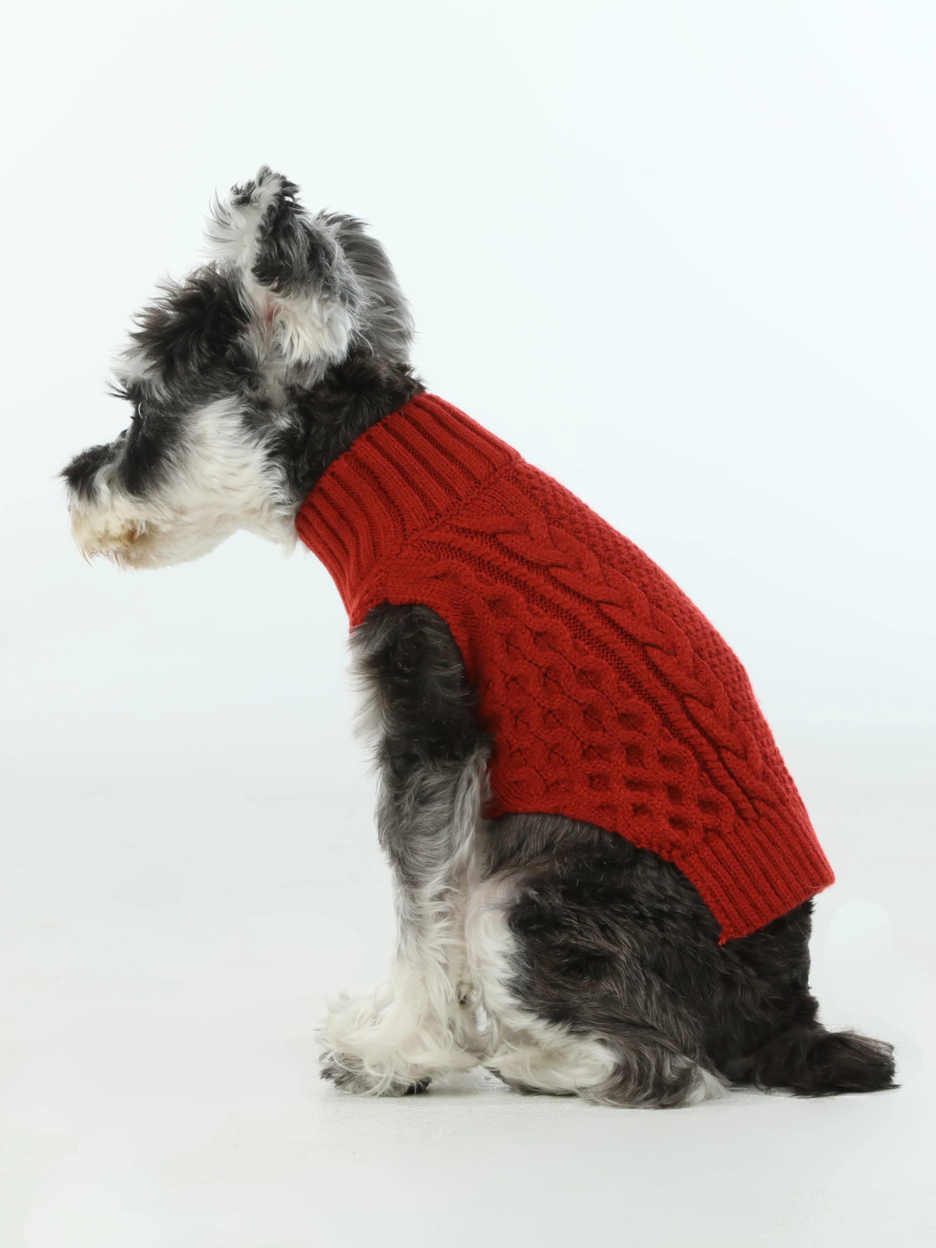 Pet Sweater Vest - Red