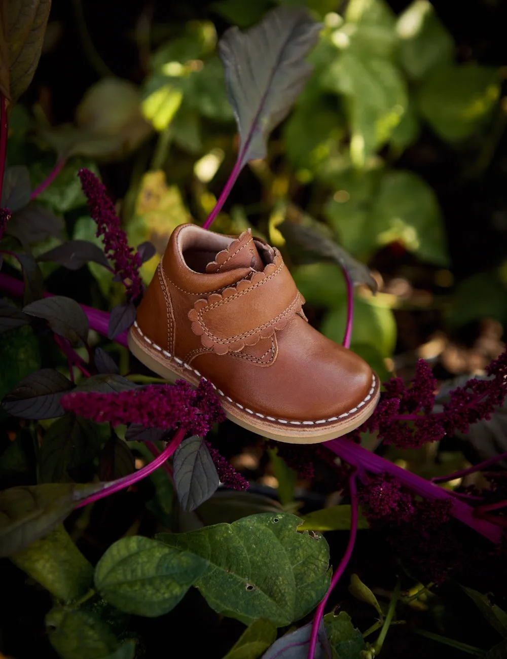 Scallop Velcro Boot - Cognac